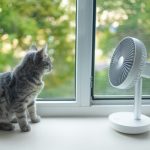 小型扇風機で涼む猫