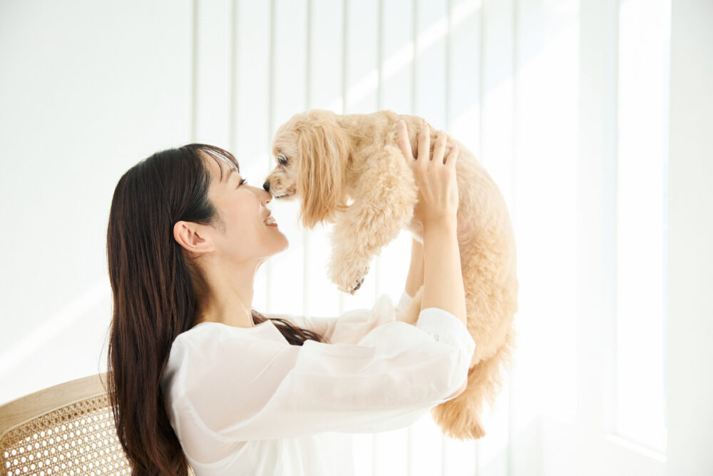 犬を抱き上げる女性