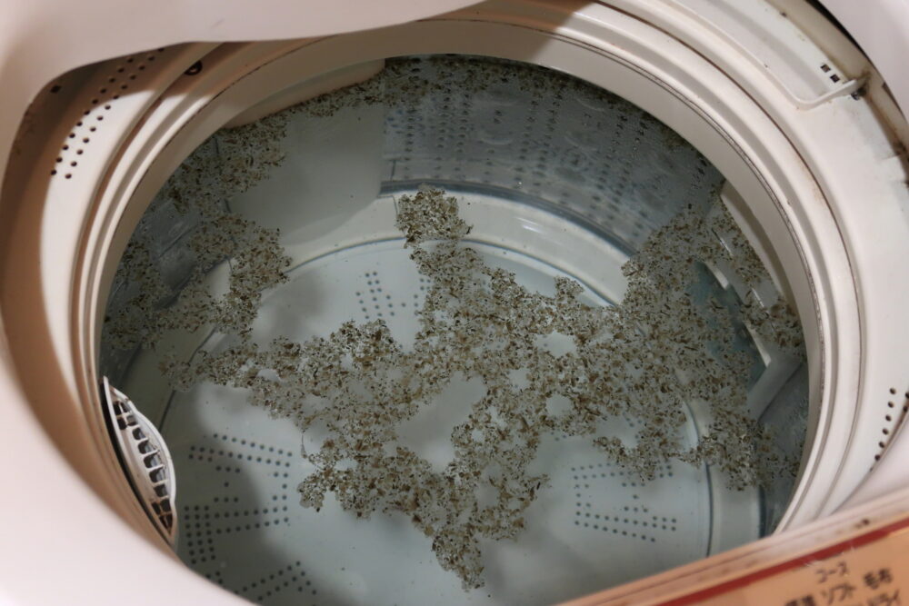 クリーニングで取り除ける洗濯機内の汚れ